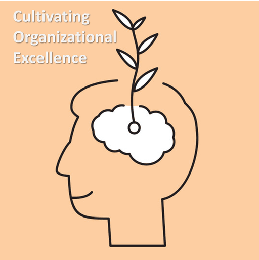 Cultivating Organizational Excellence