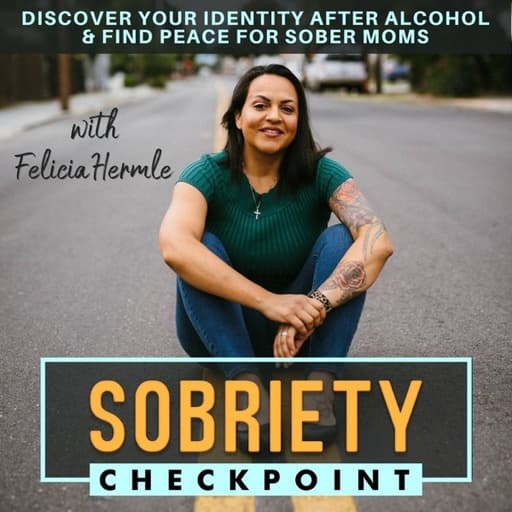 SOBRIETY CHECKPOINT - Emotional Sobriety, Addiction Recovery, Mental Health, Sober Life, Alcoholics Anonymous